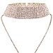 Rhinestones Choker Necklace Double Layer Full Crystal Wide Y Collar Necklace (Gold 1)