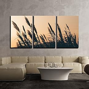 3 Piece Canvas Wall Art - Reeds with Sunset Background - Modern Home Art Stretched and Framed Ready to Hang - 16"x24"x3 Panels