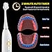 Sterline Sonic Electric Rechargeable Toothbrush and Holder w/ 3 Brushing Modes and 3 Free Electric Toothbrush Replacement Heads Included, Superior Bristle Cleaning Technology