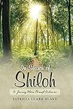 In Search of Shiloh: A Journey Home Through Arkansas (The Shiloh Saga) (Volume 1) by Patricia Clark Blake