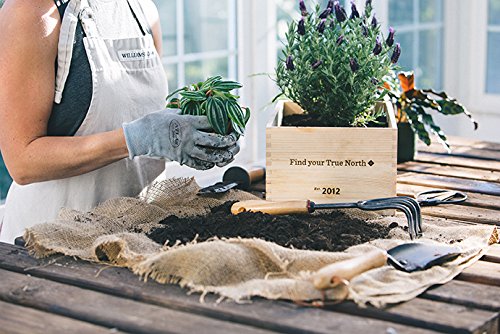 Barebones Living Garden Tool |Hand Cultivator - Thumbnail 4