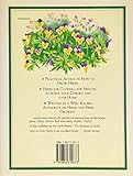 Image de How to Grow Herbs (Culpeper Guides)