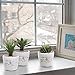 4 inch Rustic White Ceramic French Parisian Postcard Tabletop Succulent/Herb Planter Pots (Set of 3)