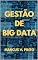 Livro GESTÃO DE BIG DATA (Big Data - em Português Livro 4)