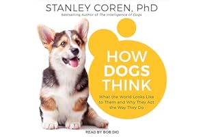 How Dogs Think: What the World Looks Like to Them and Why They Act the Way They Do