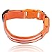 ILLUMISEEN LED Dog Collar USB Rechargeable - Bright & High Visibility Lighted Glow Collar for Pet Night Walking - Weatherproof, in 6 Colors & 6 Sizes (Orange Small)