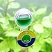 Aquarium Equip ISTA CO2 Indicator Drop Checker Long Term Monitor Test - Real time Solution Kits