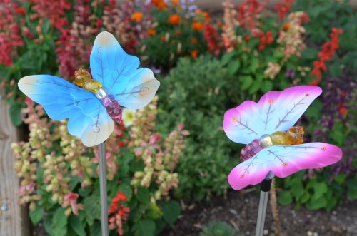 Solar Fiber Optic Butterflies of Two - Blue and Pink