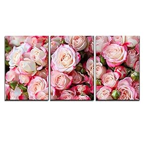 3 Piece Canvas Wall Art - Roses Background - Modern Home Art Stretched and Framed Ready to Hang - 16"x24"x3 Panels