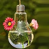 Hanging Glass Flower Plant Vase Home Garden Decor Fashion Bulb Design