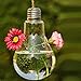 Hanging Glass Flower Plant Vase Home Garden Decor Fashion Bulb Design primary