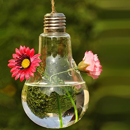 Hanging Glass Flower Plant Vase Home Garden Decor Fashion Bulb Design