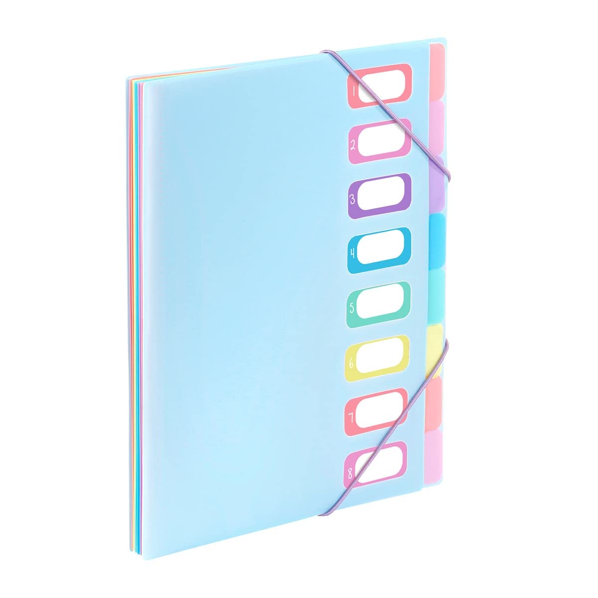 Viquel - A4 Document Folder with 8 compartments Rainbow Pastel