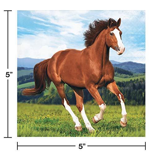 Horse and Pony Party Supplies Pack Serves-16: Dessert Plates, Beverage Napkins, Cups, and Table Cover with Birthday Candles: Deluxe (Bundle for 16)