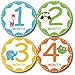Premium Baby Monthly Stickers By Tiny Stars, 14 PC Pack of 4