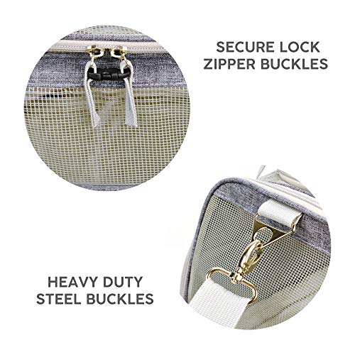 6 Jet+Sitter+Airline+Approved+Carrier