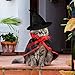 2 Pieces Halloween Cat Costume Pet Vampire Cloak Witch Cape and Hat for Cat Kitten Puppy Cosplay Halloween Party Supplies