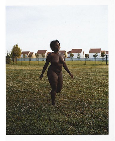 Le  ciel étoilé au dessus de ma tête