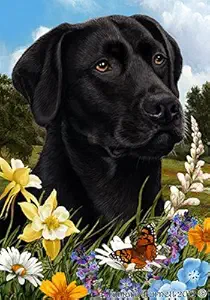 Best of Breed Black Labrador Summer Flowers Garden Flags