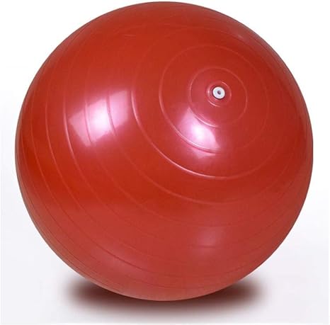 Pelota Suiza Gym Ball 65CM Bola para Pilates, Yoga, Fitness Pelota ...