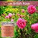 MAJESTIC PURE Moroccan Red Clay Facial Mud Mask with British Rose – Natural Skin Care Face Mask for Pore Cleansing and Dull & Sensitive Skin – Fights Acne and Blackheads – 10 ozthumb 1