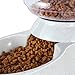 Flexzion Gravity Pet Feeder Food Dispenser (6-12 lb Size) Automatic Replenish Dry Food Storage Container Bowl for Small Medium Breed Dog Cat Animal Feeding Watering Fountain Supplies