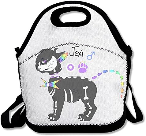 Unisex Handy Portable Wonderful Convenient Lunch Bag For School Or Work,Black