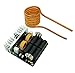 GeekTeches 1000W ZVS, Low Voltage Induction Heating Board Module + Tesla Brass Coil, Flyback Driver Heater, DC 12V-48V