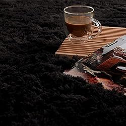 PAGISOFE Fluffy Shaggy Area Rug, 5x8 Feet, Soft