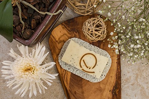Aira Soap Saver - Soap Dish & Soap Holder Accessory - BPA Free Shower & Bath Soap Holder - Drains Water, Circulates Air, Extends Soap Life - Fits All Soap Dish Sets - Round White - 2 Pack