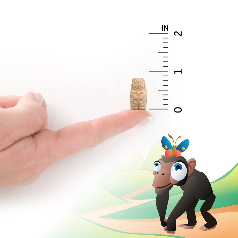 Garden of Life Vegetarian Multivitamin Supplement for Kids - Vitamin Code Kids Chewable Raw Whole Food Vitamin with Probiotics, 60 Chewable Bears