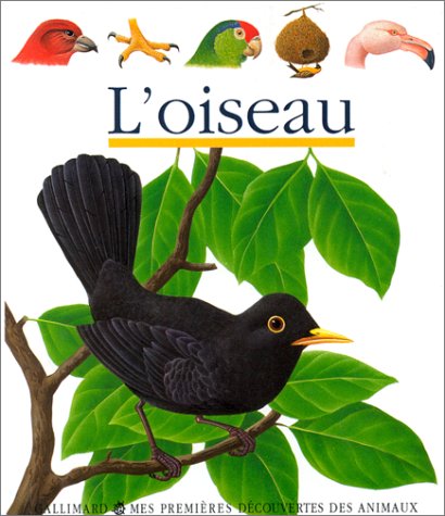 couverture de : L'OISEAU