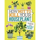 How Not to Kill Your Houseplant: Survival Tips for the Horticulturally Challenged