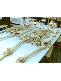 Richard III's Lost Chapel