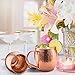 Divlor Moscow Mule Copper Mugs - Hammered Finish with Solid Copper Handle, Set of 2 with One Shot Glass, 16-Ounce