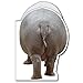 VictoryStore Jumbo Greeting Cards:  Giant Birthday Card (Hippo), 2' x 3' Card with Envelope