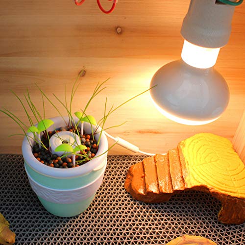 Reptile Anion Fogger Humidifier Humidifying Fog Machine Terrarium Tank Potted Plant Pet Supplies for Amphibians Lizard Leopard Gecko Lizard Scorpion Crested Gecko Crickets Beetle
