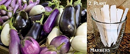 Organic Mixed Eggplant Seeds Approx. 400 Seeds Upc 650327337282 + 2 free plant markers