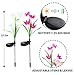 XJEXPO Solar Flower Lights,Solar Garden Stake Lights Outdoor with 8 Lily Flowers,Multi-Color Changing LED Solar Decorative Lights Garden,Patio,Backyard(Purple & White) 2 Pack
