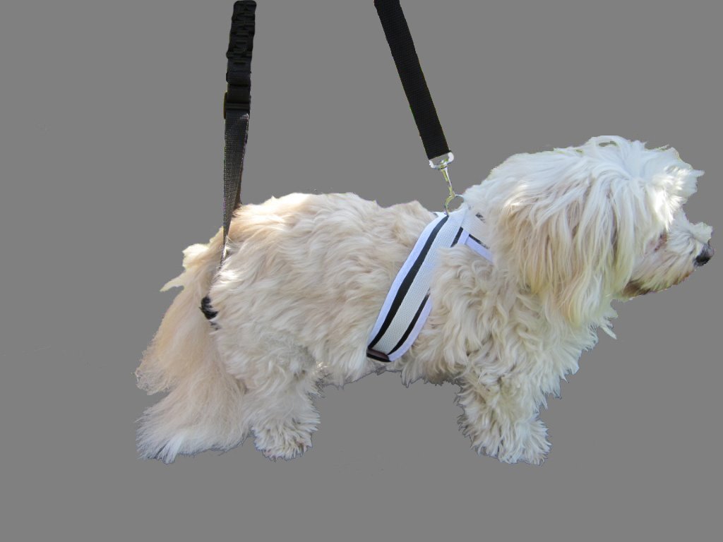 Dog walking Aid with Harness Size 2 for a Chest Circumference of 49