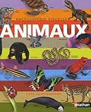 Encyclopédie visuelle Animaux by
