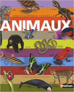 Amazon Fr Encyclopedie Visuelle Animaux Owen John Collectif Guenette Magali Lebras Sylvie Saurat Sophie Livres