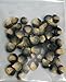 David's Garden Seeds Corn Sweet Black Mexican D41103 (Black) 50 Organic Heirloom Seeds