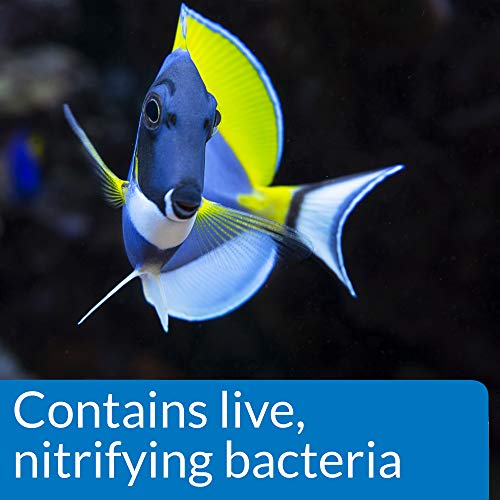 API MARINE QUICK START Saltwater And Reef Aquarium Nitrifying Bacteria