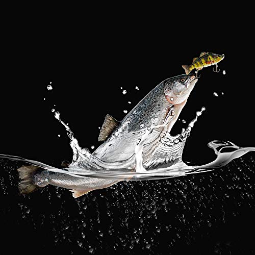 ROSE KULI Fishing Lures Multi Jointed Swimbait Lifelike Fish Lure Tackle Kits