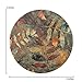 Thirstystone Drink Coasters, All Natural Stone with Non-Slip Cork Backing, Drink Absorbent & Protects Table, Autumn Soul II (Set of 4), Multicolor