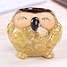 ROSE CREATE 6 Pcs 3 Inches Owl Pots, Little Ceramic Succulent Owl Planters with Drainage Holes - (Big Smile Owls)