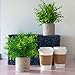 Modern Farmhouse Decor Small Fake Plants (2 Piece Plant Decor 9