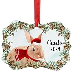 Red Rabbit Christmas Ornament 2024 - Personalized