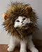 RosyLife Lion Mane Wig for Cat Costume Pet Adjustable Washable Comfortable Fancy Lion Hair Cat Clothes Dress for Halloween Christmas Easter Festival Party Activity (Brown)
